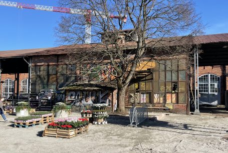 Vallilan Lasipalatsi , projekti